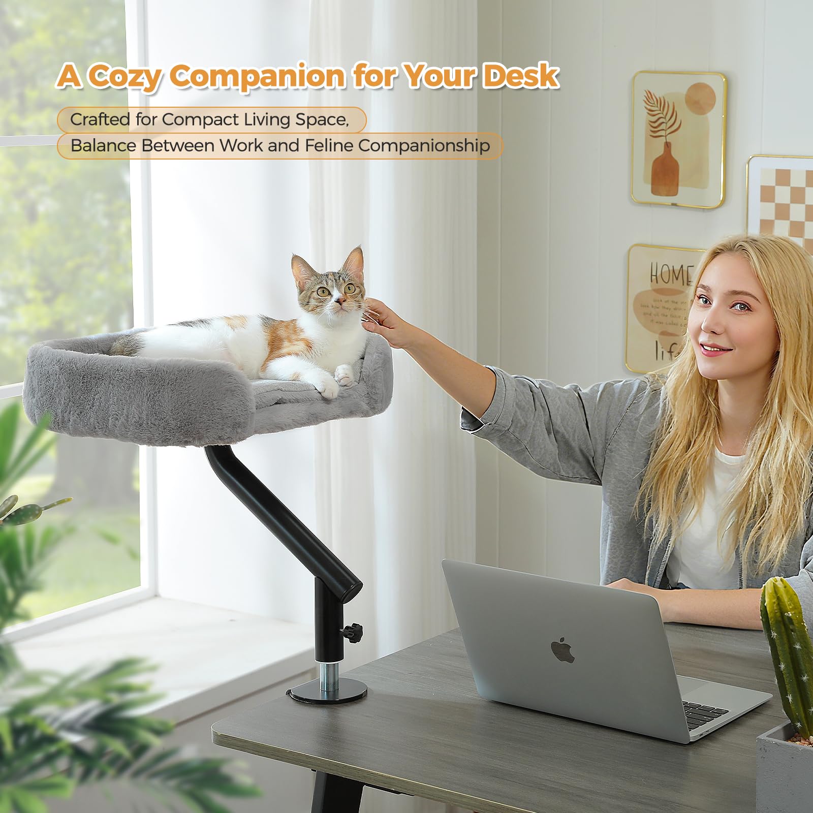 PAWZ Road Cat Desk Bed — 360° Rotating, Adjustable Desk Hammock for Indoor Cats