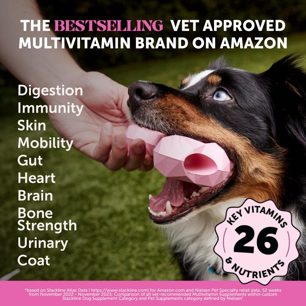 Pet Honesty Dog Multivitamin 10-in-1 – 180 Count with Omega-3, Probiotics & Glucosamine