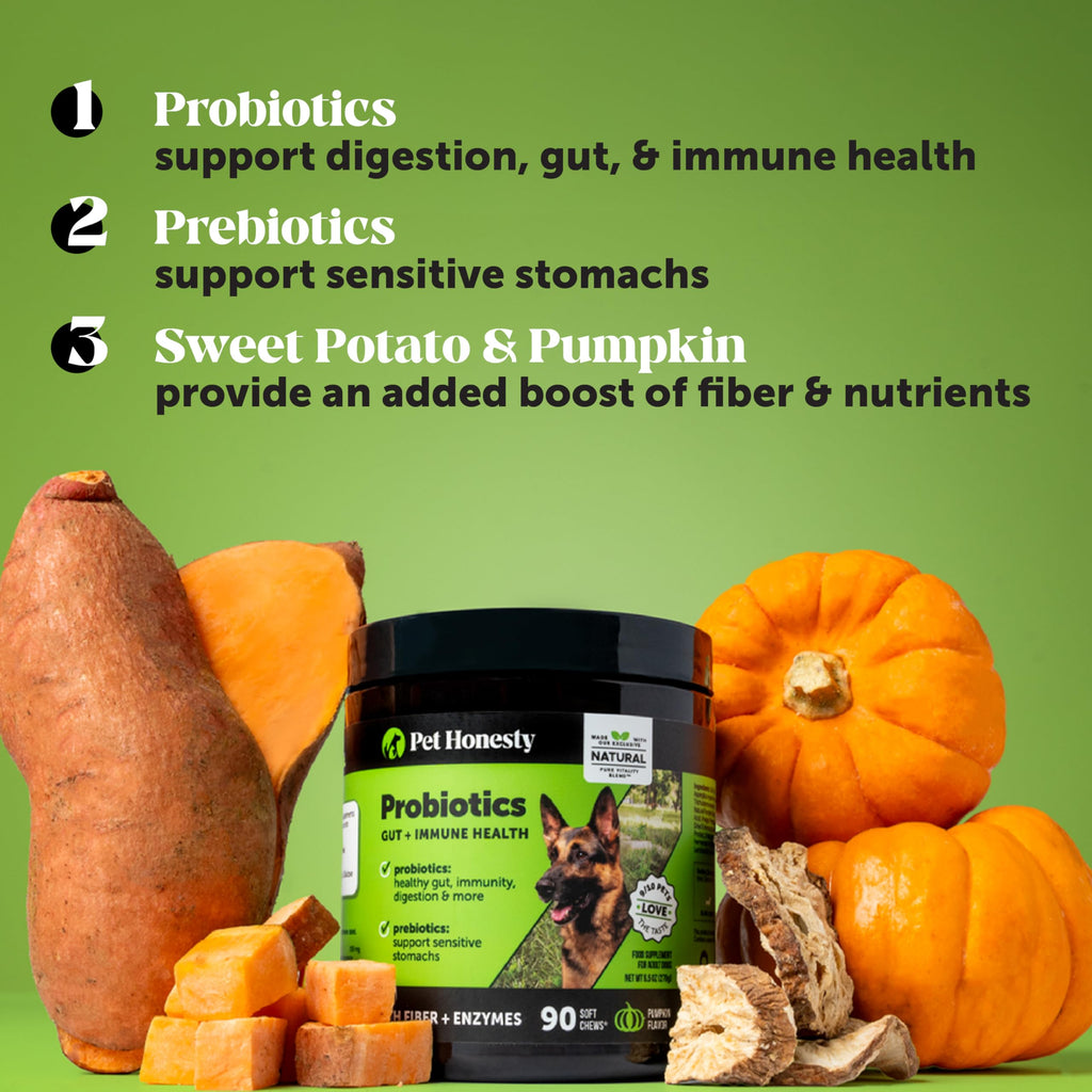 Pet Honesty Probiotics for Dogs – Digestive Enzymes, Gut Health & Immune Support (Pumpkin, 180 ct)