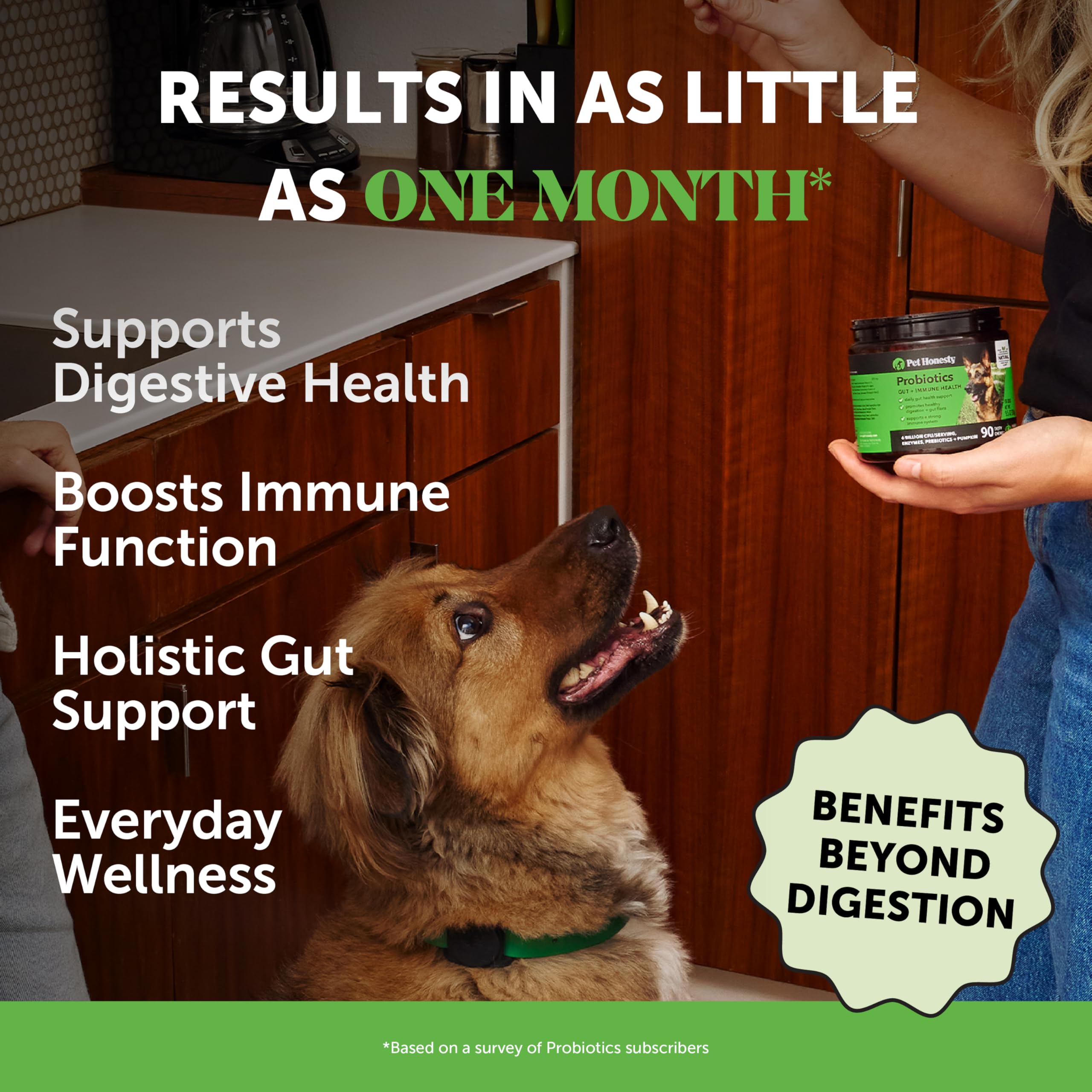 Pet Honesty Probiotics for Dogs – Digestive Enzymes, Gut Health & Immune Support (Pumpkin, 180 ct)
