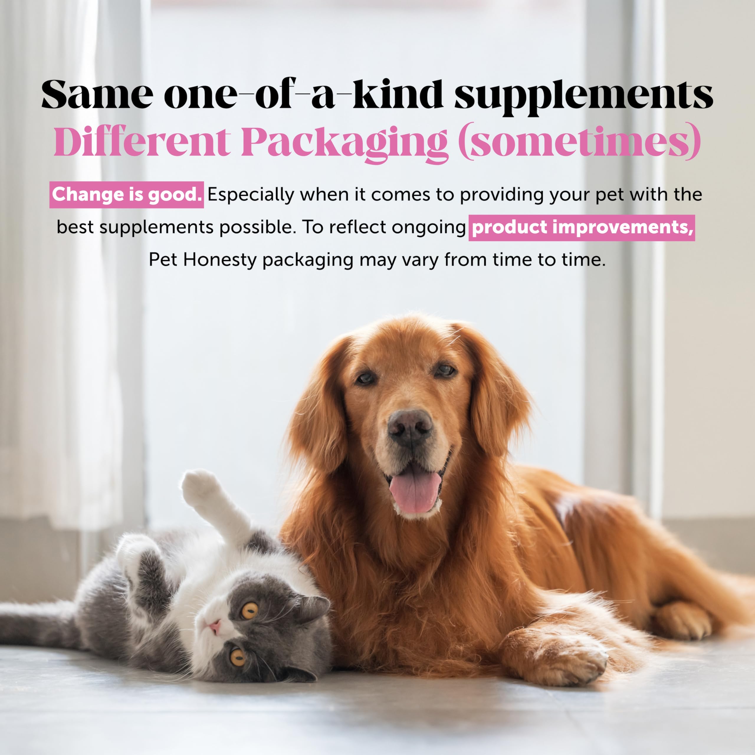Pet Honesty Probiotics for Dogs – Digestive Enzymes, Gut Health & Immune Support (Pumpkin, 180 ct)