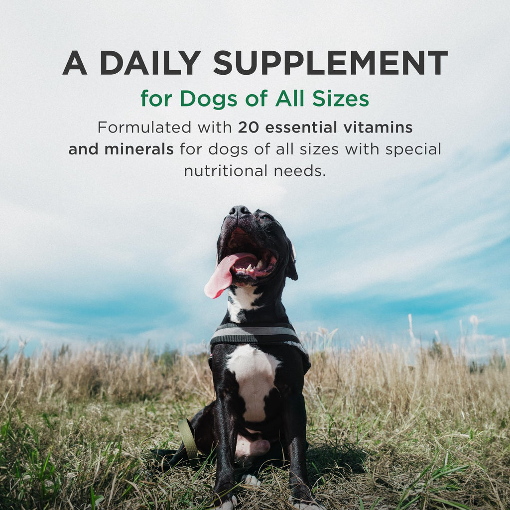 Pet-Tabs Plus Multivitamin & Mineral Supplement for Dogs – 180 Chewable Tablets