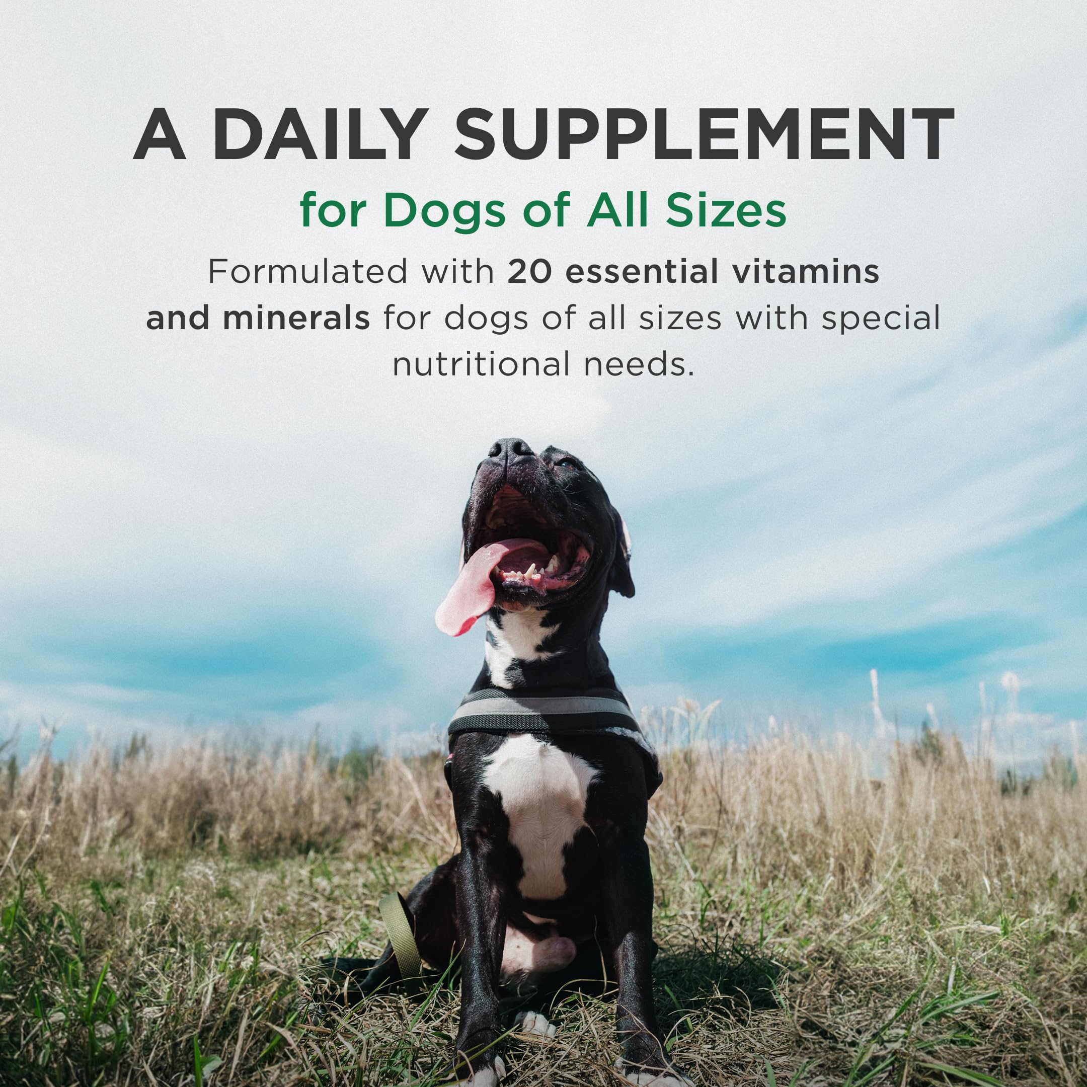 Pet-Tabs Plus Multivitamin & Mineral Supplement for Dogs – 180 Chewable Tablets