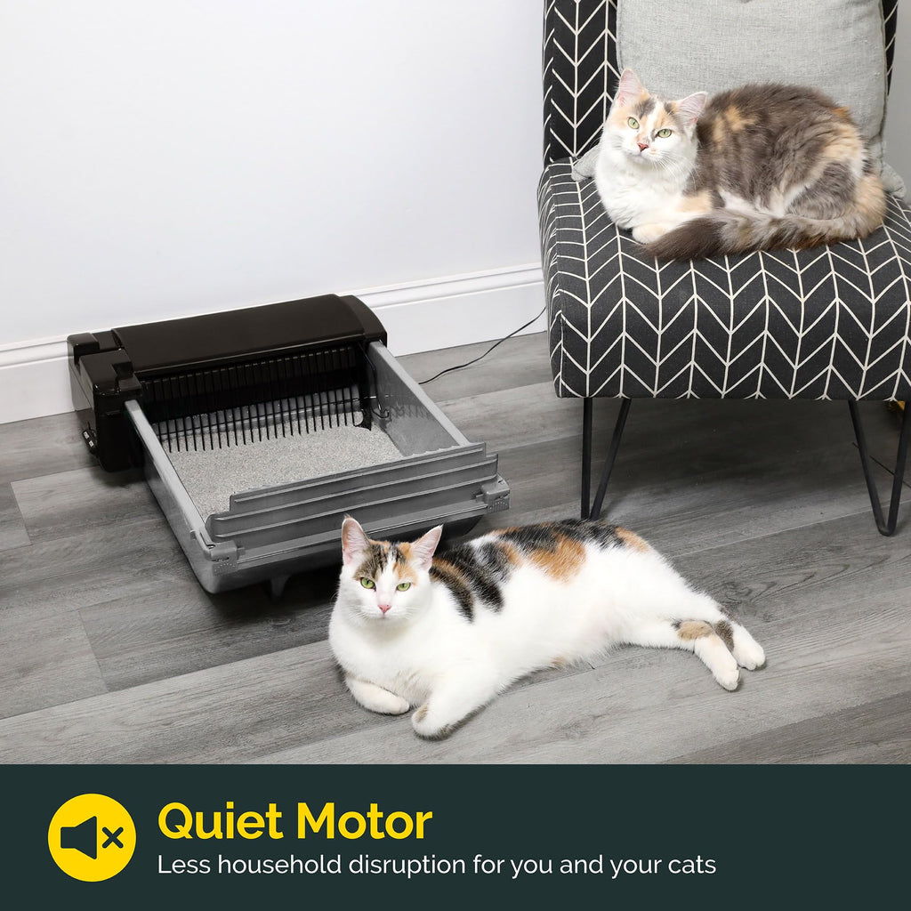 Pet Zone Smart Scoop Self-Cleaning Litter Box for 2 Cats (6–15 lbs) – Carbon Filter & Bags