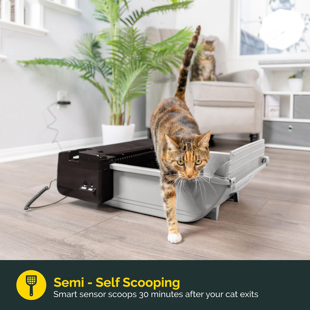 Pet Zone Smart Scoop Self-Cleaning Litter Box for 2 Cats (6–15 lbs) – Carbon Filter & Bags