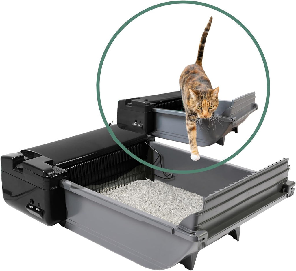 Pet Zone Smart Scoop Self-Cleaning Litter Box for 2 Cats (6–15 lbs) – Carbon Filter & Bags