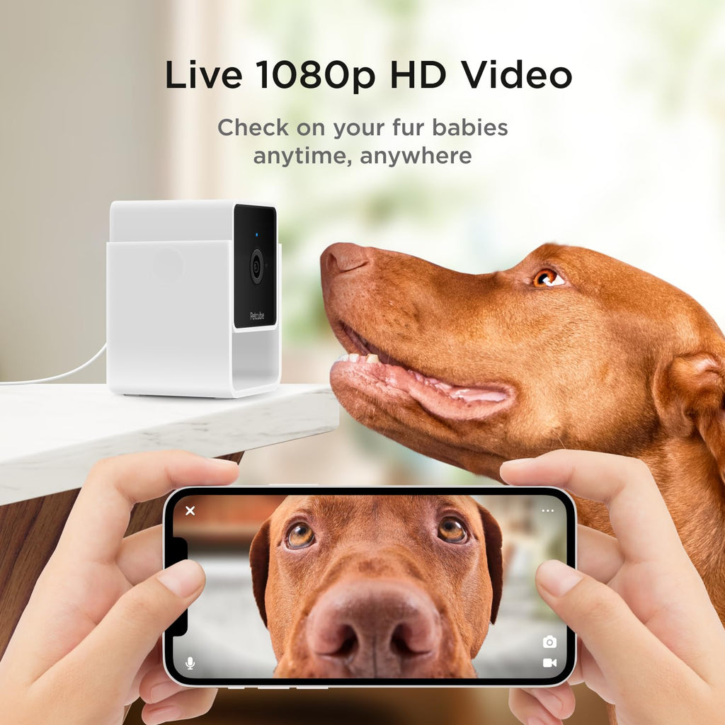 Petcube Cam The Pack of 3 | Indoor Wi-Fi Pet Security Camera - 1080p HD, 2-Way Audio, Night Vision