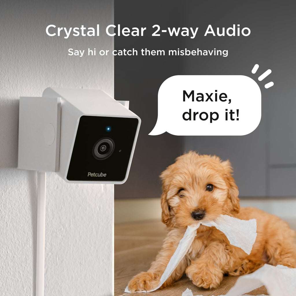 Petcube Cam The Pack of 3 | Indoor Wi-Fi Pet Security Camera - 1080p HD, 2-Way Audio, Night Vision