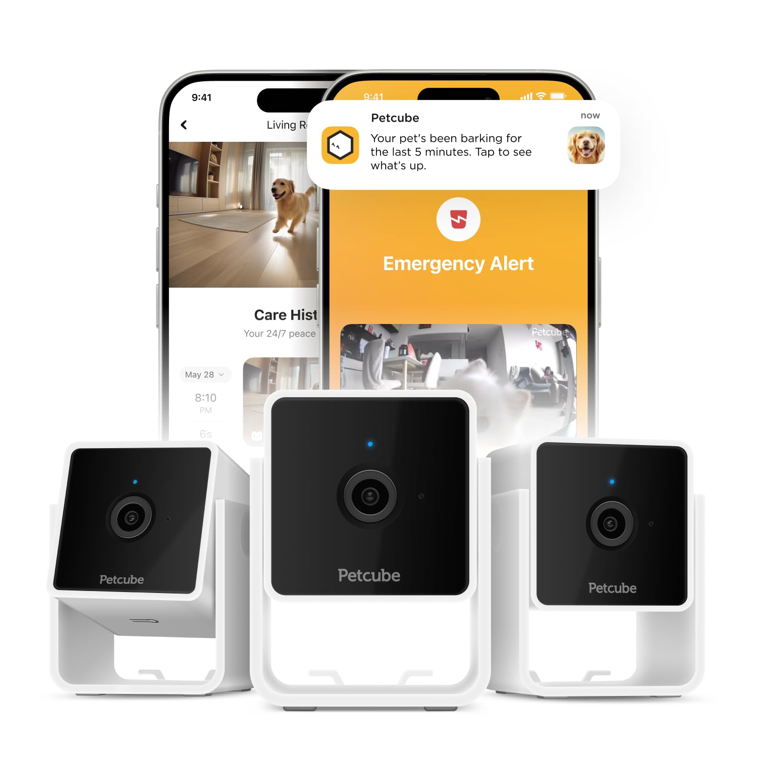 Petcube Cam The Pack of 3 | Indoor Wi-Fi Pet Security Camera - 1080p HD, 2-Way Audio, Night Vision