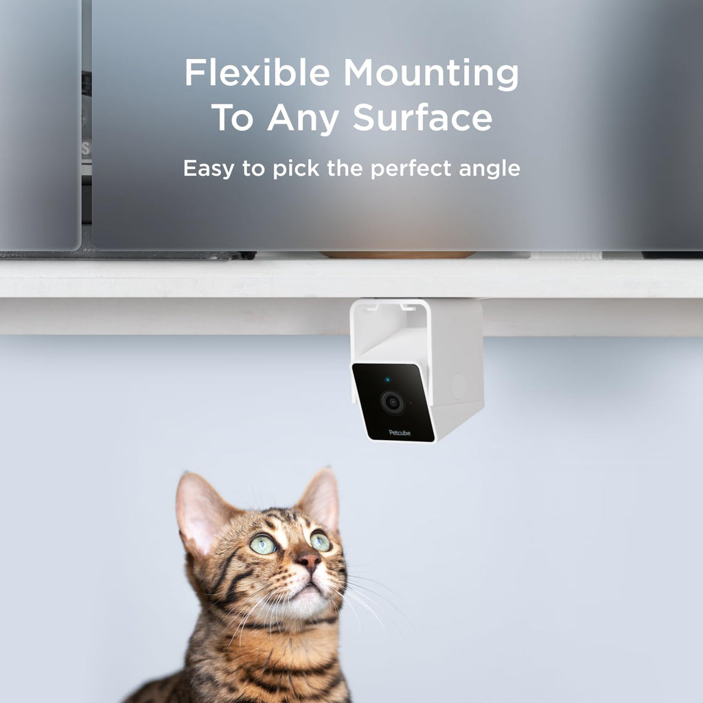 Petcube Cam The Pack of 3 | Indoor Wi-Fi Pet Security Camera - 1080p HD, 2-Way Audio, Night Vision