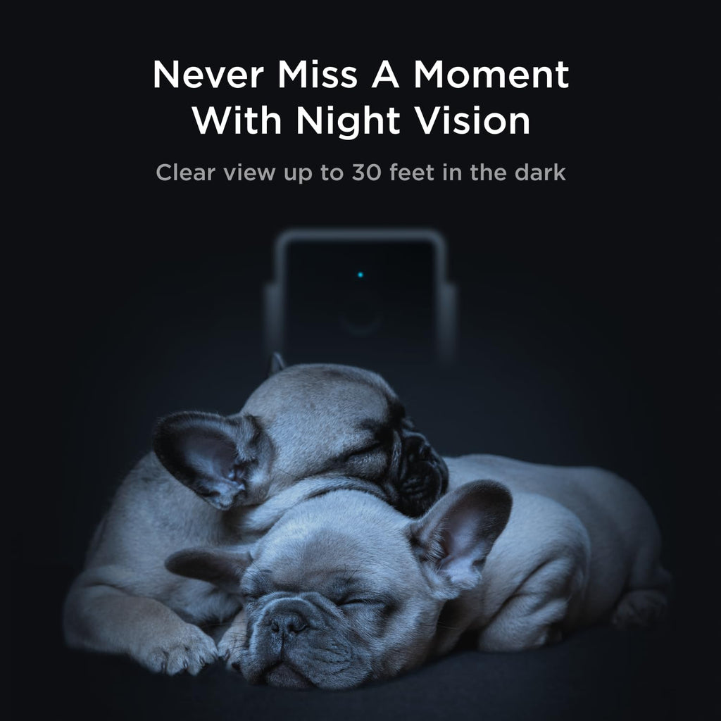 Petcube Cam The Pack of 3 | Indoor Wi-Fi Pet Security Camera - 1080p HD, 2-Way Audio, Night Vision