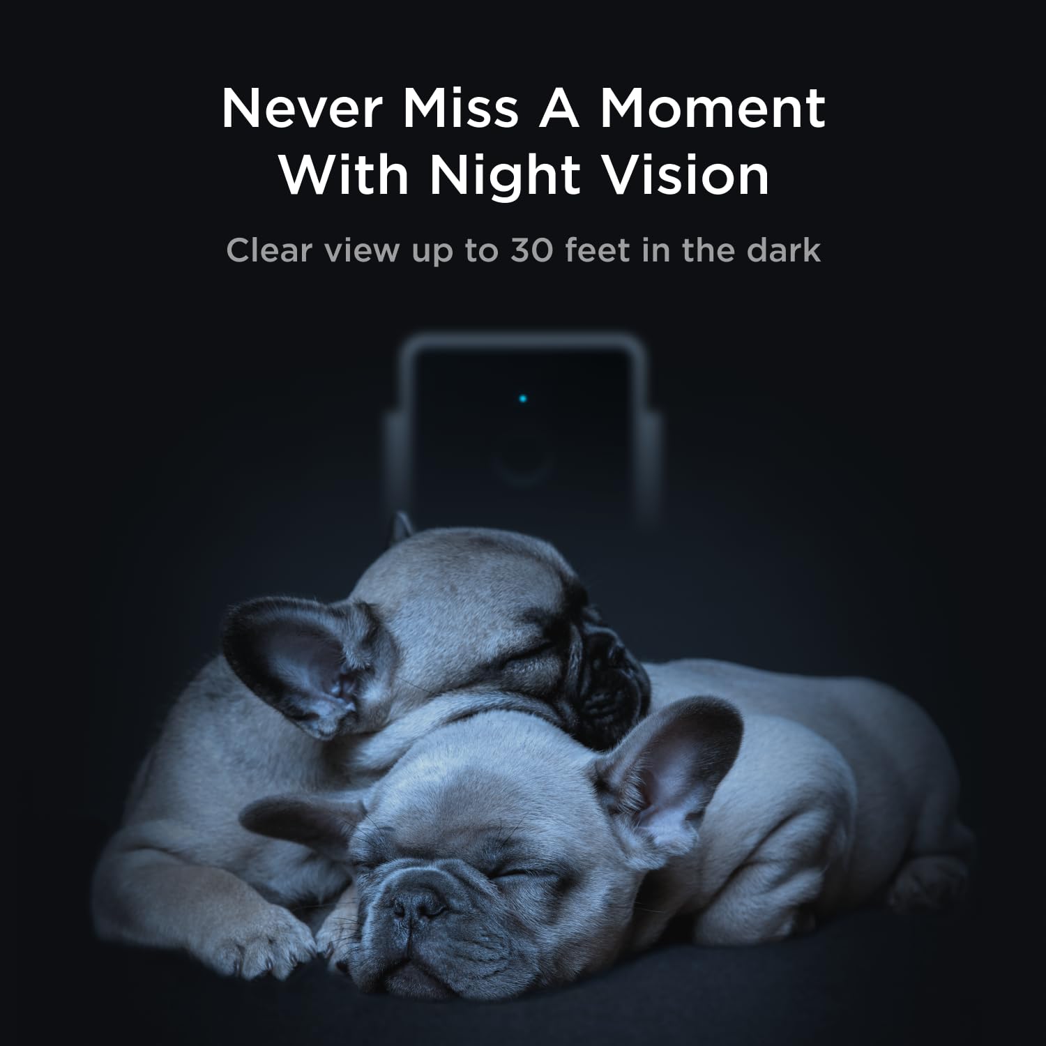 Petcube Cam The Pack of 3 | Indoor Wi-Fi Pet Security Camera - 1080p HD, 2-Way Audio, Night Vision