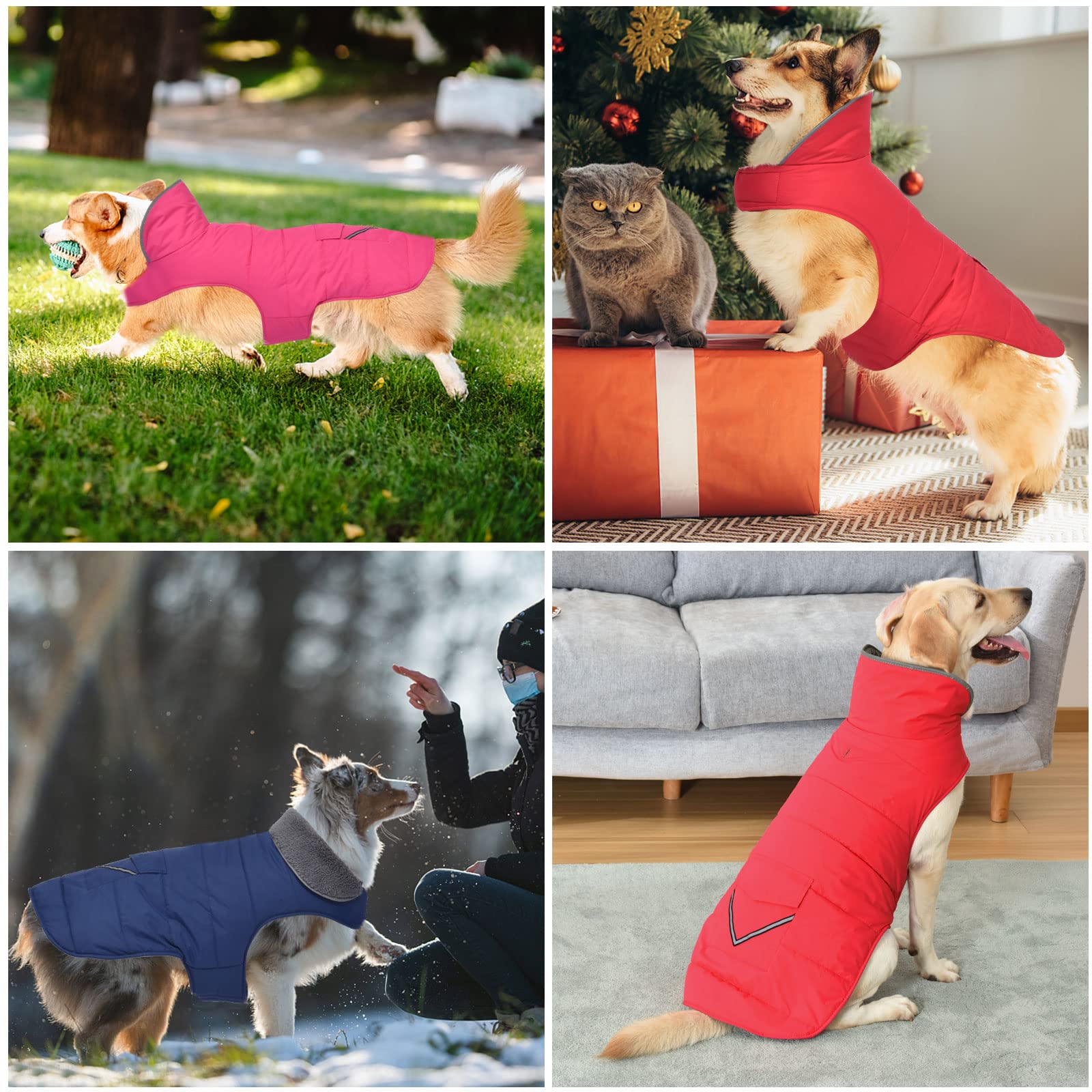 Petglad Waterproof Dog Coat - Winter Jacket with Pocket & Reflective Stripes (Pink, XL)