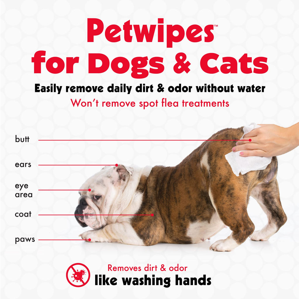 Petkin Pet Wipes for Dogs and Cats – 400 Large Wipes (4 Packs) – Gentle, Non-Rinse Cleaning