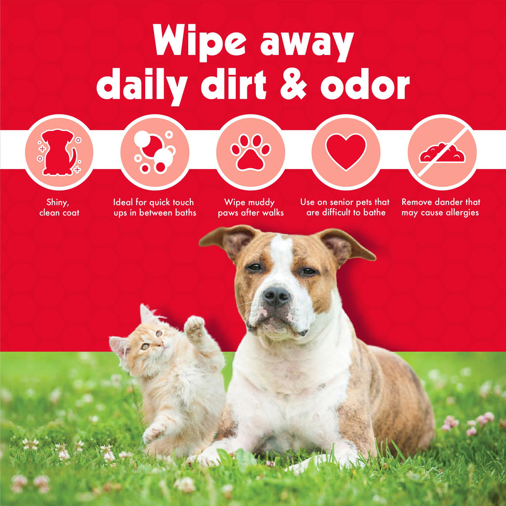 Petkin Pet Wipes for Dogs and Cats – 400 Large Wipes (4 Packs) – Gentle, Non-Rinse Cleaning