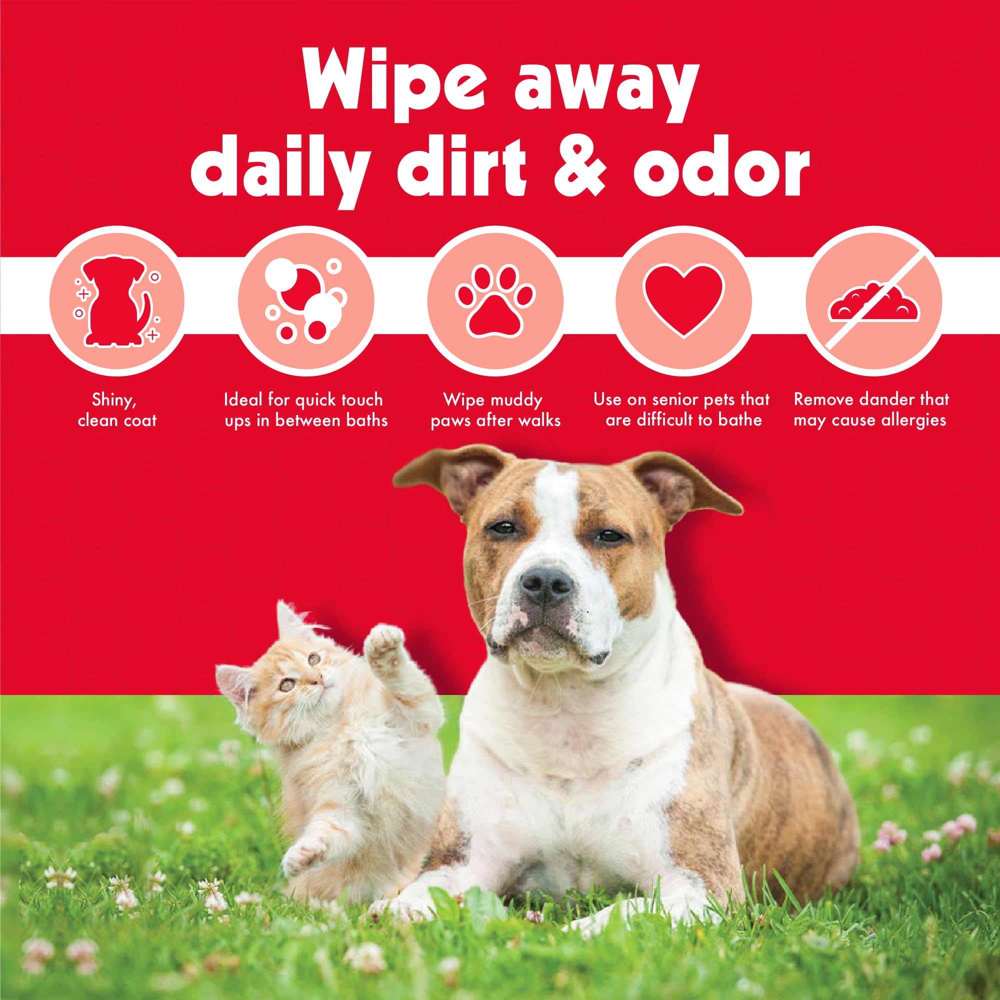 Petkin Pet Wipes for Dogs and Cats – 400 Large Wipes (4 Packs) – Gentle, Non-Rinse Cleaning