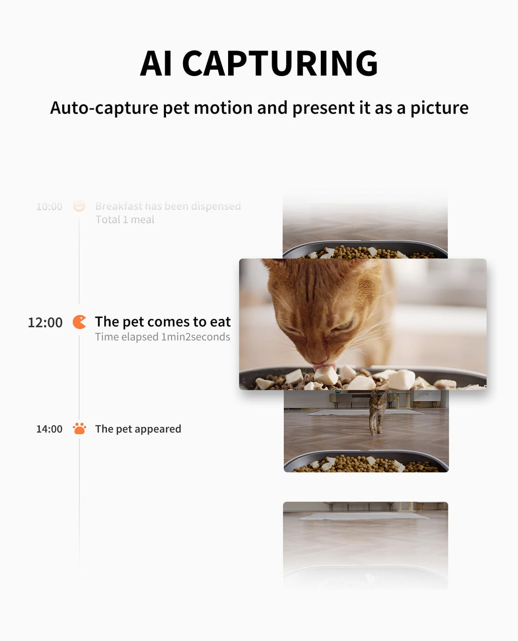 PETKIT Automatic Cat & Dog Feeder with Camera — AI Motion, 1080P HD Night Vision, 2.4G WiFi