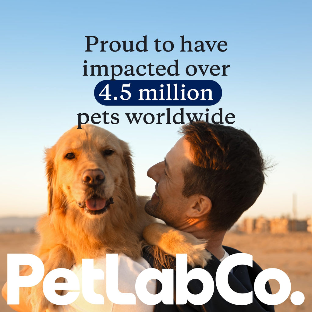 PetLab Co. Itch Relief Chew Pro for Dogs – Omega-3 Skin Support & Seasonal Allergy Help