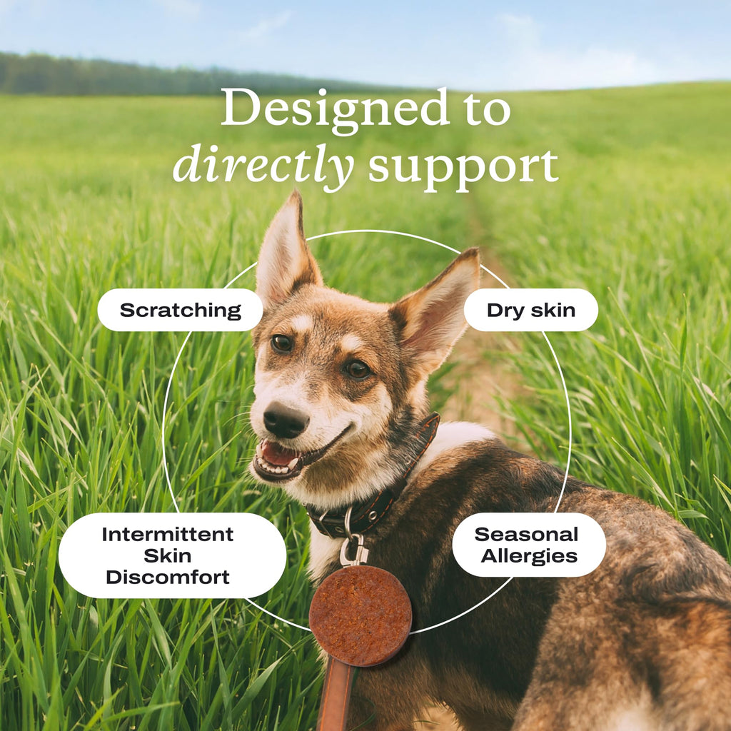PetLab Co. Itch Relief Chew Pro for Dogs – Omega-3 Skin Support & Seasonal Allergy Help