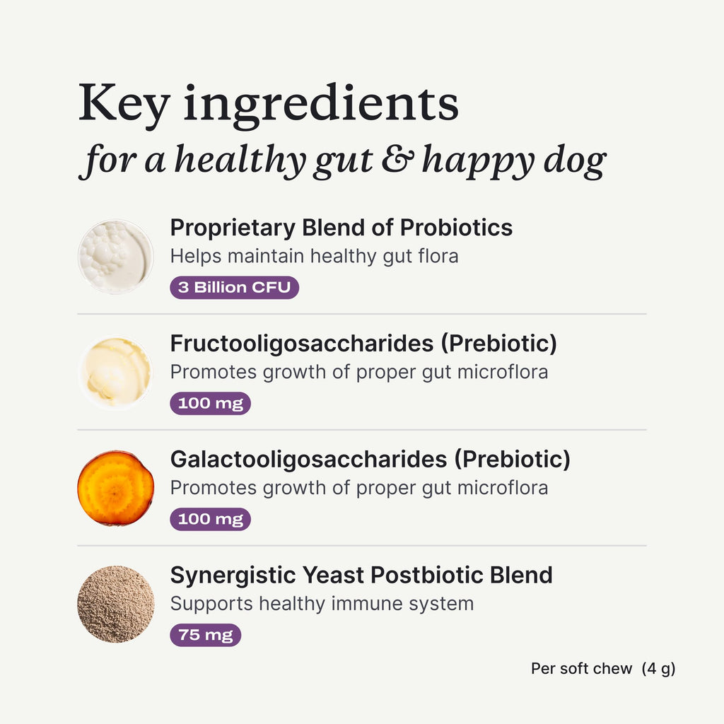 PetLab Co. Probiotics for Dogs – Salmon Flavor, Digestive Health, Seasonal Allergies, 30 Soft Chews (Pack of 2)