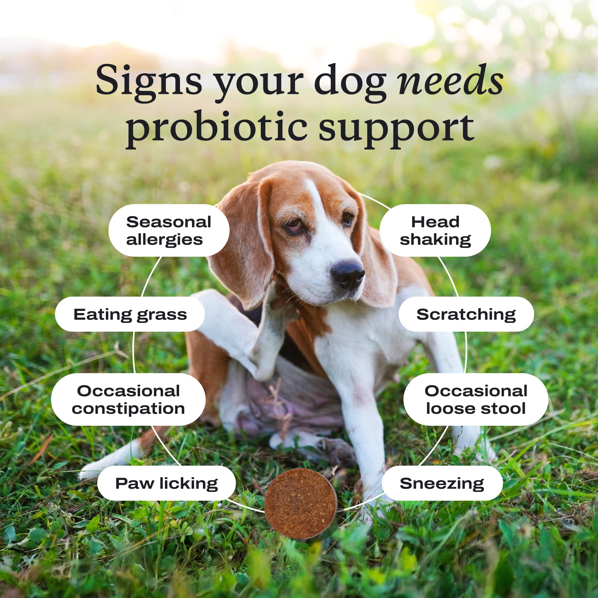 PetLab Co. Probiotics for Dogs – Salmon Flavor, Digestive Health, Seasonal Allergies, 30 Soft Chews (Pack of 2)