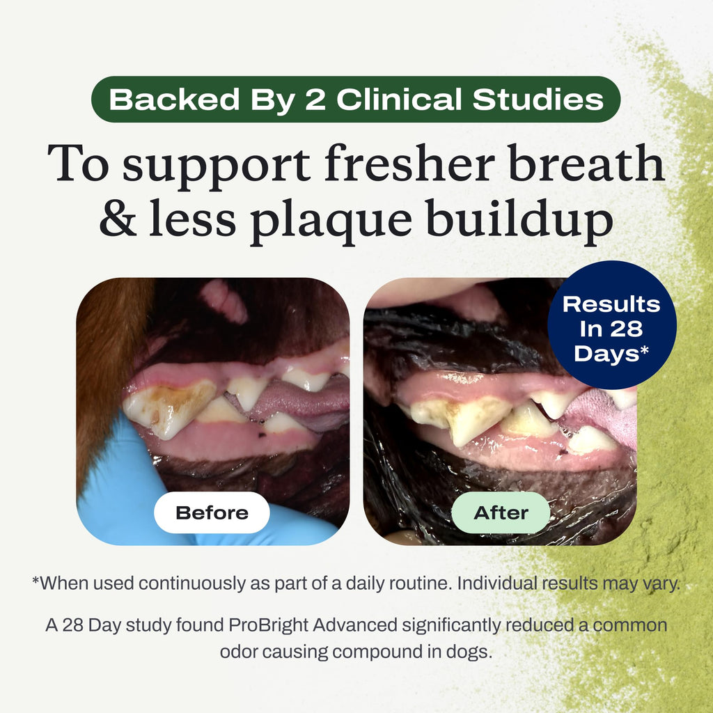 PetLab Co. ProBright Advanced Dental Powder for Large Dogs – Fresh Breath & Tartar Control