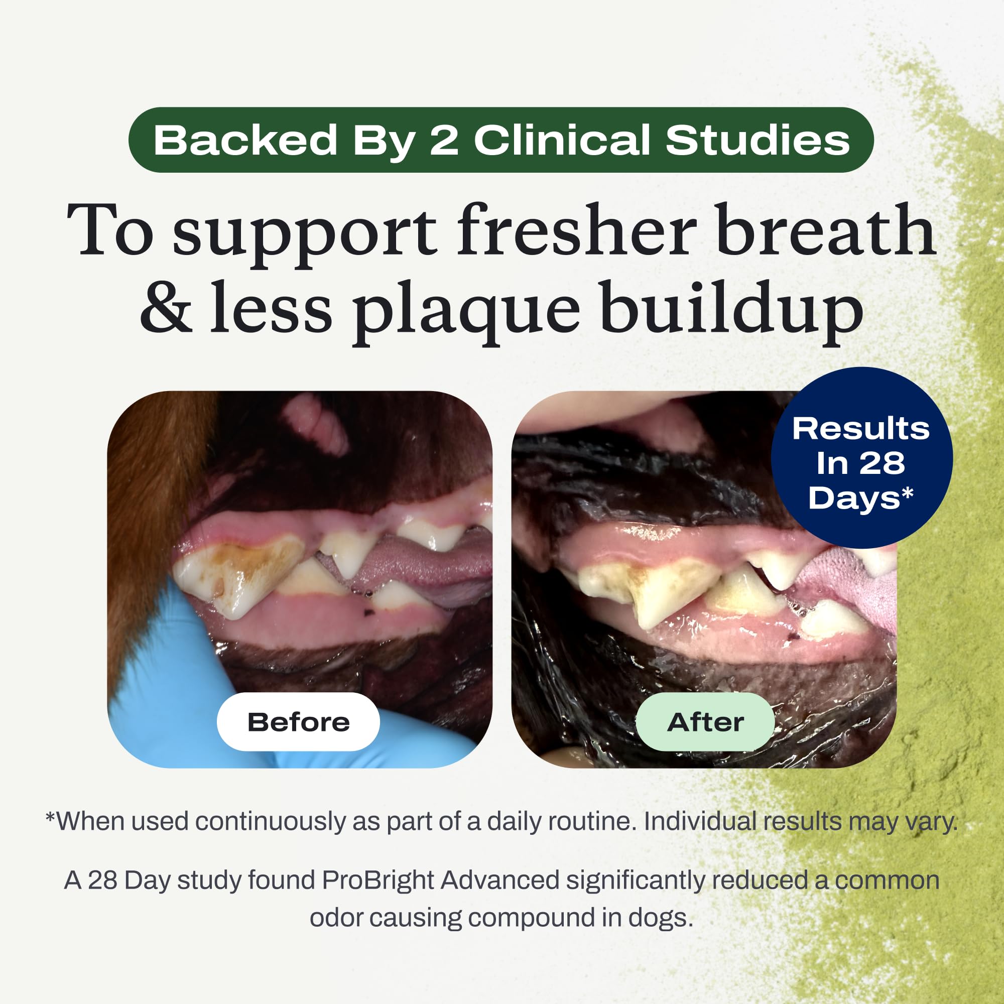 PetLab Co. ProBright Advanced Dental Powder for Large Dogs – Fresh Breath & Tartar Control