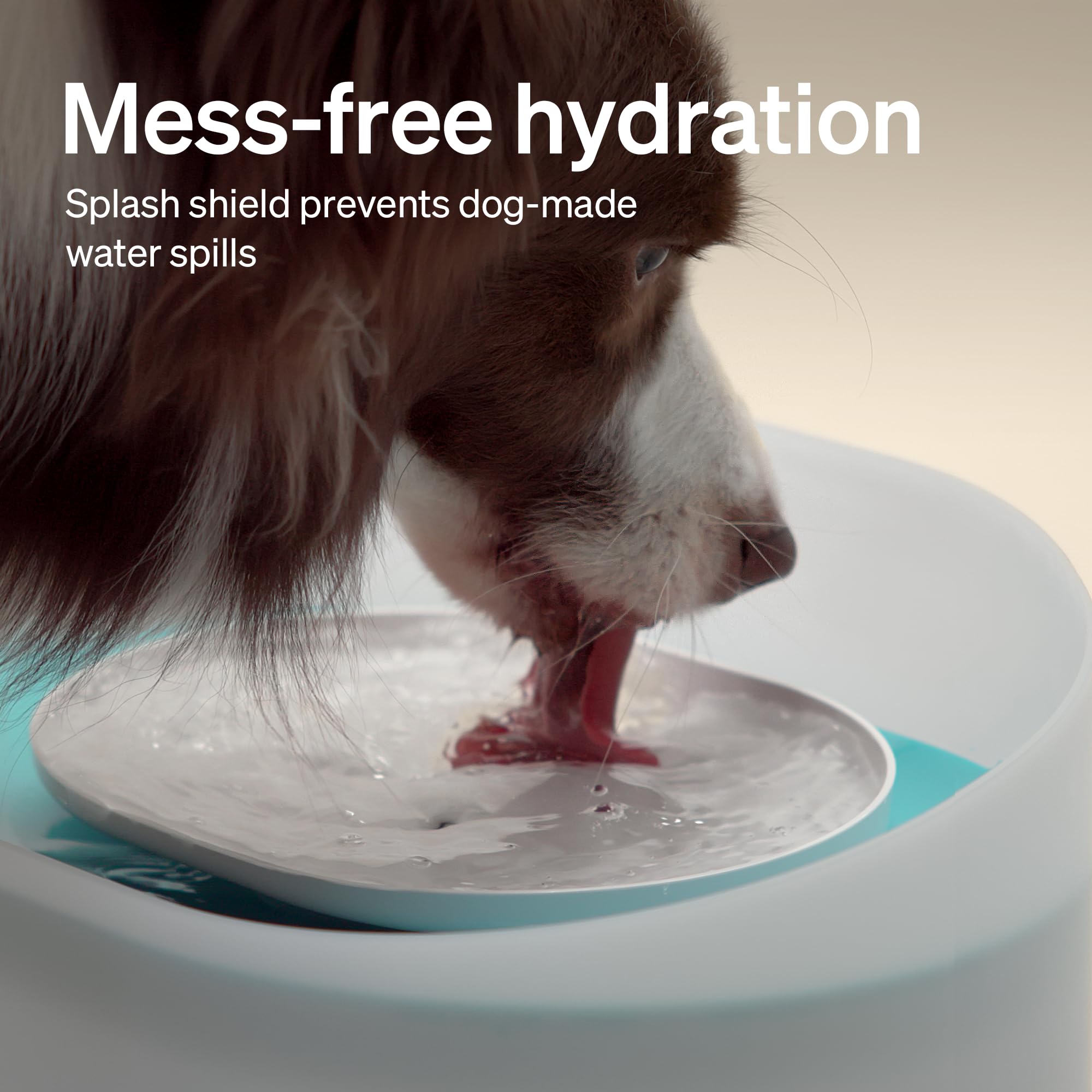 PETLIBRO Dog Water Fountain 2.1 Gal – Quiet, Anti-Splash & Multi-Pet