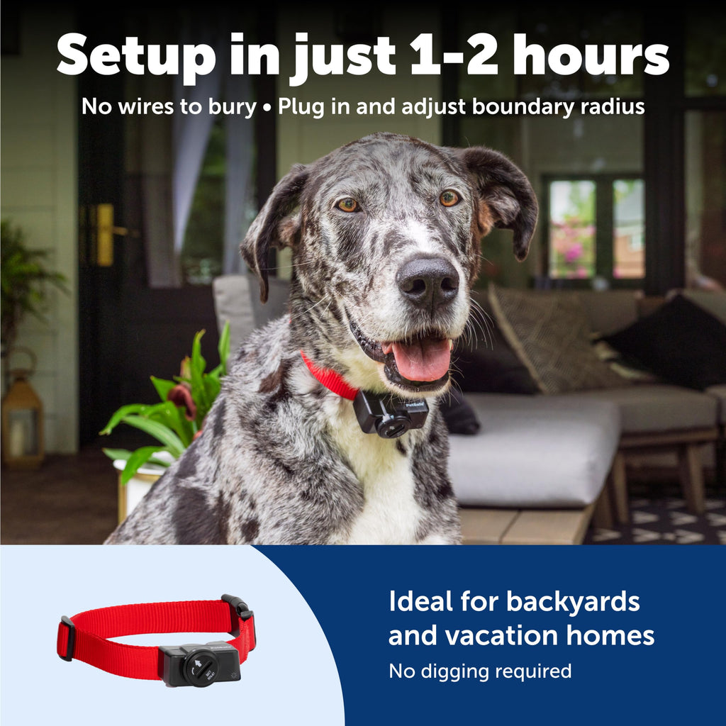 PetSafe Wireless Pet Containment System – 1/2 Acre Circular Fence for Dogs