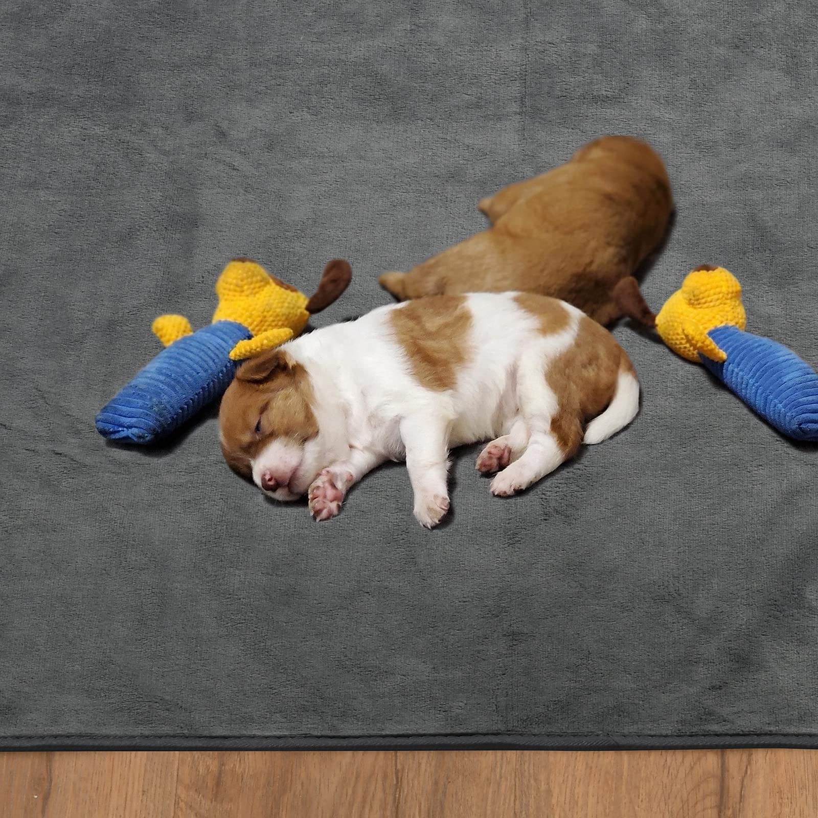 PICK FOR LIFE Washable Dog Pads 48x60 | Reusable Non-Slip Whelping & Training Mats