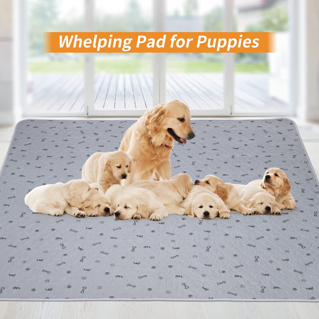 PICK FOR LIFE Washable Dog Pee Pad 72x72 Extra Large – Reusable, Leakproof, Non-Slip