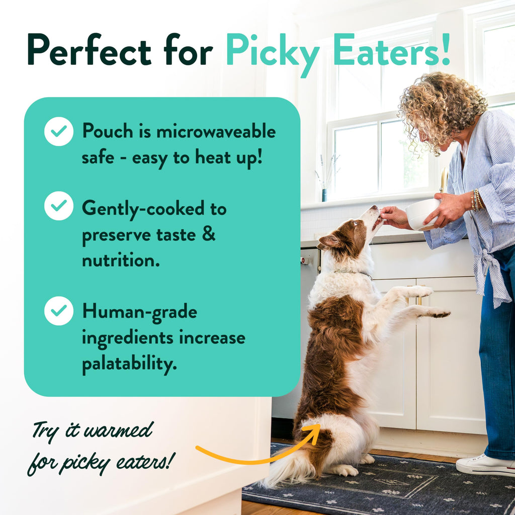 Portland Pet Food Company Fresh Dog Food Pouches — Human-Grade Wet Meals & Topper Mix-Ins (Gluten-Free, Limited Ingredient) | 8-Pack Variety