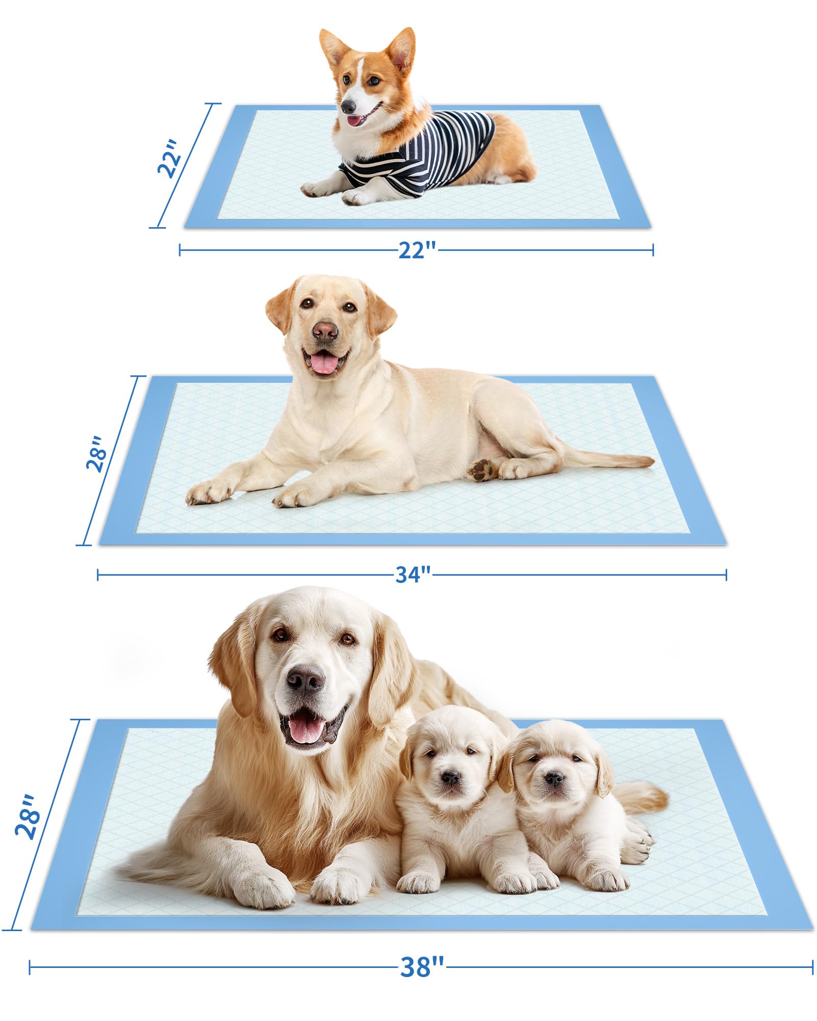 Powools 100-Pack X-Large Puppy Pads - 34 x 28 Inches, 6-Layer Leak-Proof Quick-Dry Training Pads (Blue)