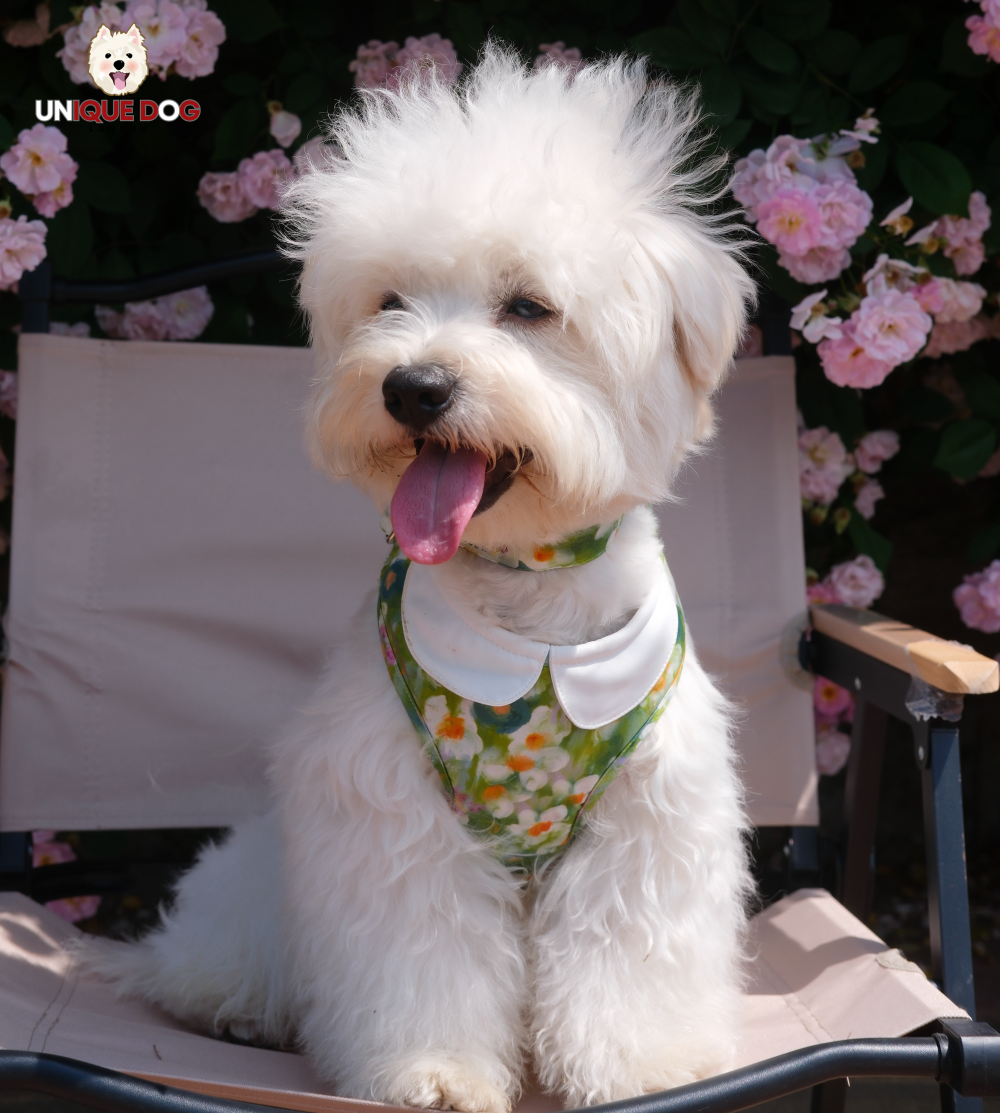 London Garden - Greenwich Collar