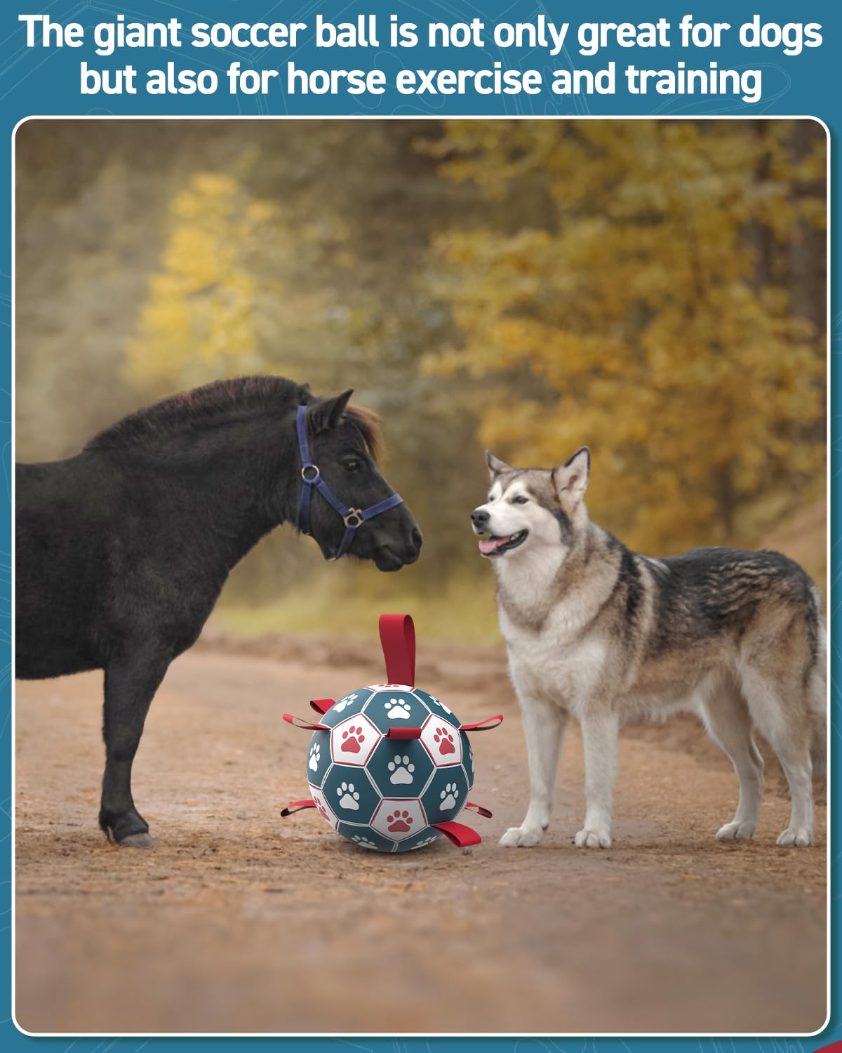 QDAN Dog Soccer Ball with Straps - 10 Inch Durable Outdoor Toy for Fetch, Tug & Training