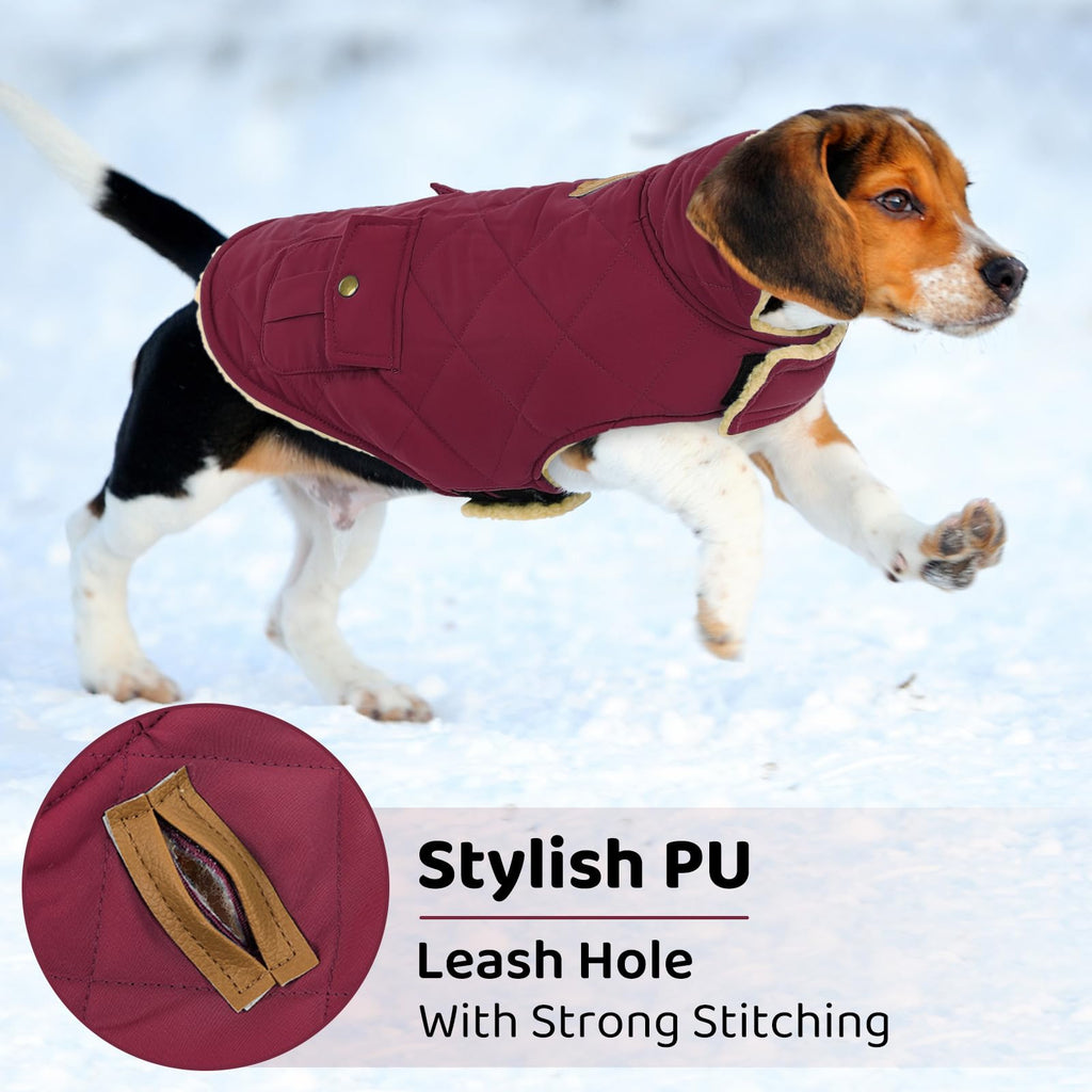 Queenmore Dog Winter Coat — Warm Puffer Jacket with Plush Lining, Burgundy, XS-XL