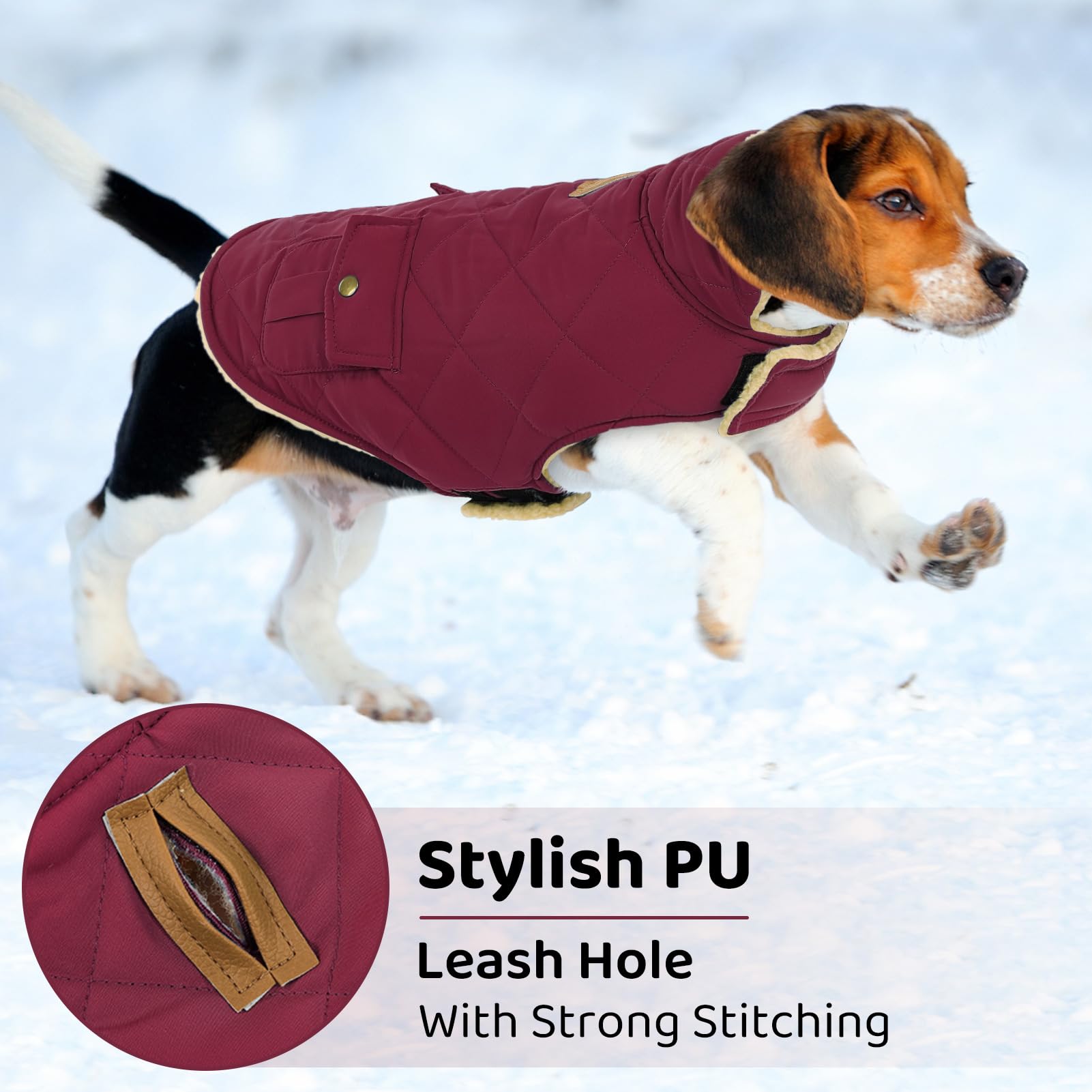 Queenmore Dog Winter Coat — Warm Puffer Jacket with Plush Lining, Burgundy, XS-XL