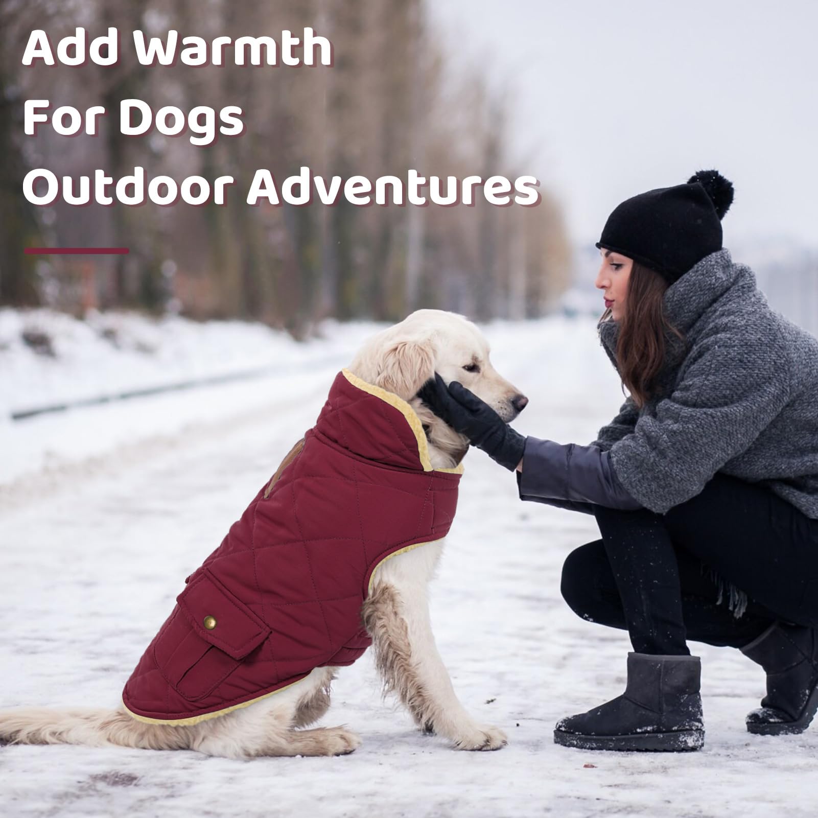 Queenmore Dog Winter Coat — Warm Puffer Jacket with Plush Lining, Burgundy, XS-XL