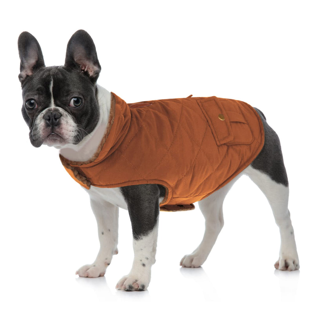 Queenmore Warm Coat for Dogs - Quilted Winter Jacket with Plush Lining & Storage Pockets (Brown, X-Large)