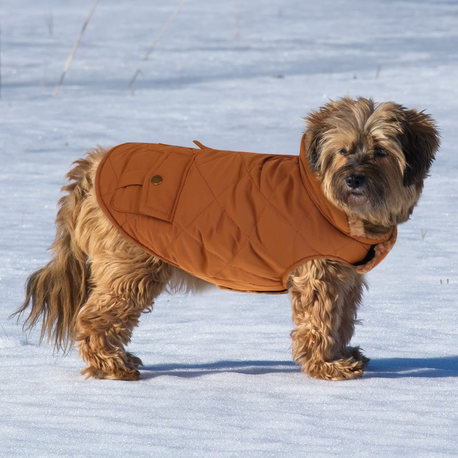 Queenmore Warm Dog Coat – Ultra Thick Plush Lining, Windproof Puffer Jacket with Leash Hole & Back Pockets (Brown, Large)