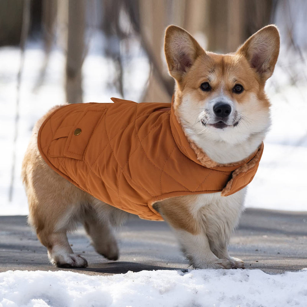 Queenmore Warm Dog Coat – Ultra Thick Plush Lining, Windproof Puffer Jacket with Leash Hole & Back Pockets (Brown, Large)