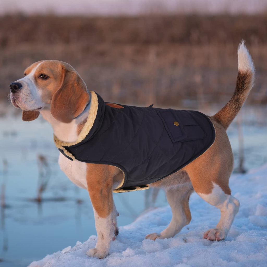 Queenmore Warm Puffer Dog Coat - Ultra Thick Plush Lining, Storage Pockets, Dark Navy Large