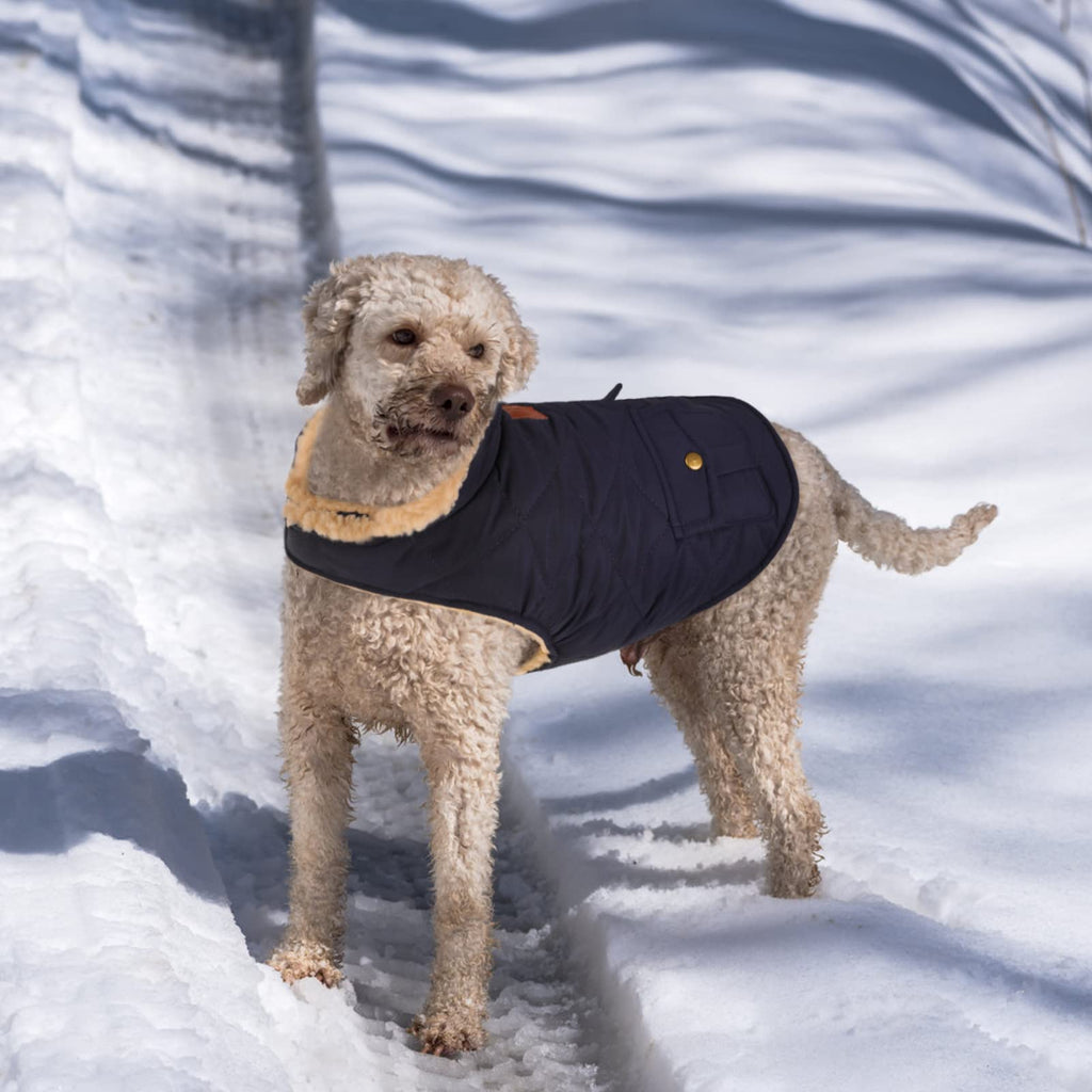Queenmore Warm Puffer Dog Coat - Ultra Thick Plush Lining, Storage Pockets, Dark Navy Large