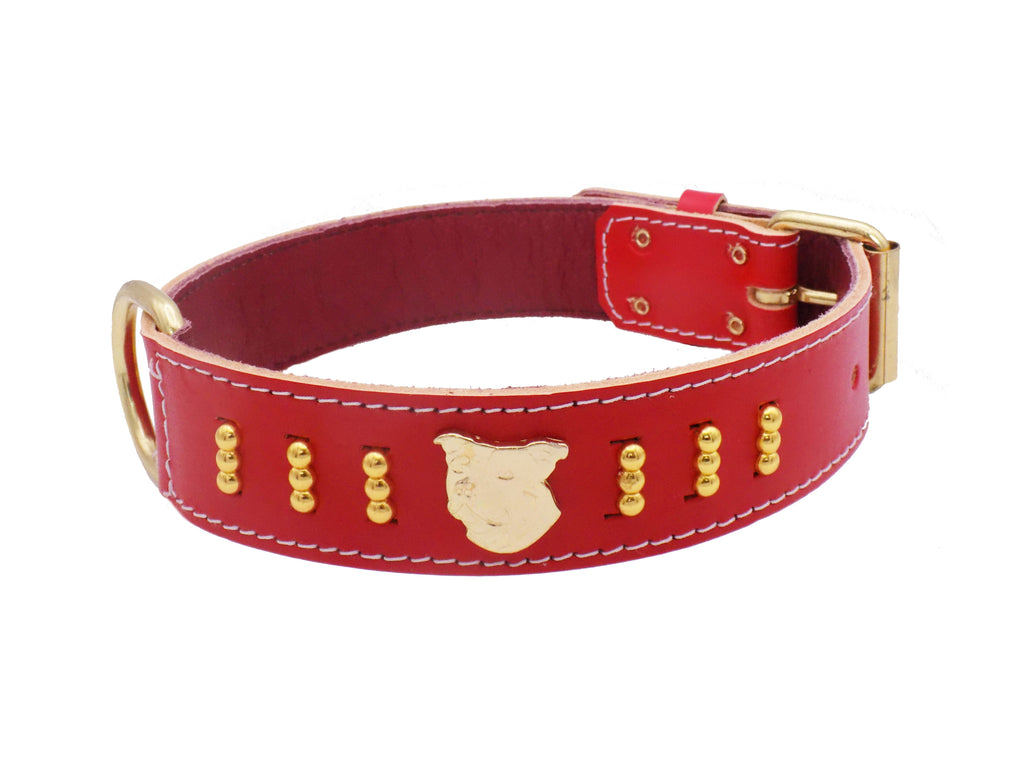 1.5" wide Staffy Leather Dog Collar with Gold Unique Decorative Design and Staffordshire Bull Terrier Badge