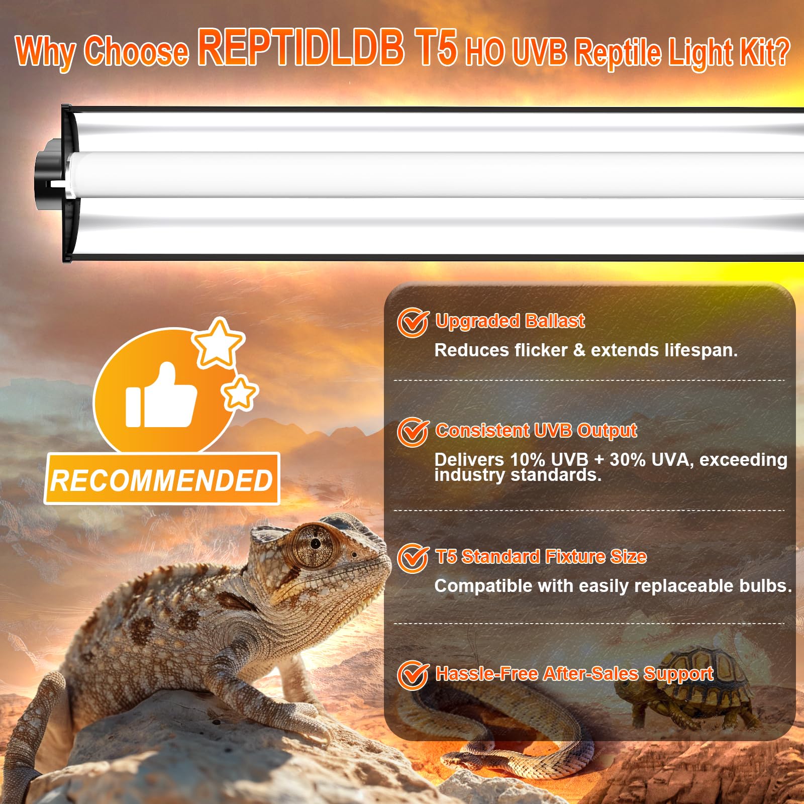 REPTIDLDB 24W T5 UVB Reptile Light Fixture Kit – 22in Hood, UVB 10.0, UVA 30%, Desert & Tropical