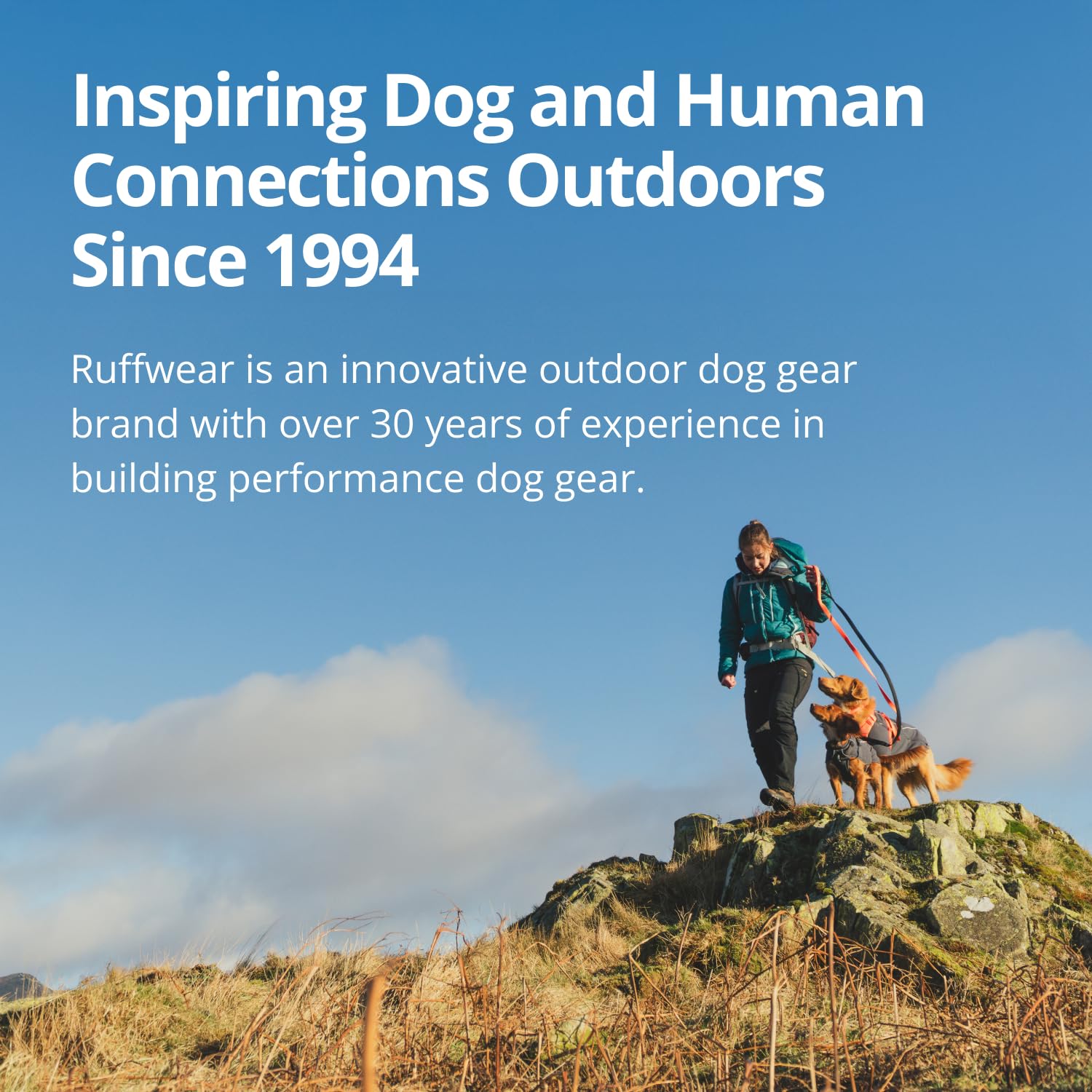 Ruffwear Sun Shower Dog Raincoat - All-Weather Waterproof, Windproof, Lightweight (Mineral Yellow) - Large