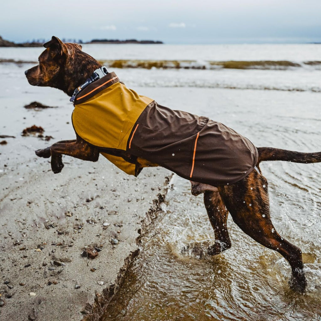 Ruffwear Sun Shower Dog Raincoat - All-Weather Waterproof, Windproof, Lightweight (Mineral Yellow) - Large