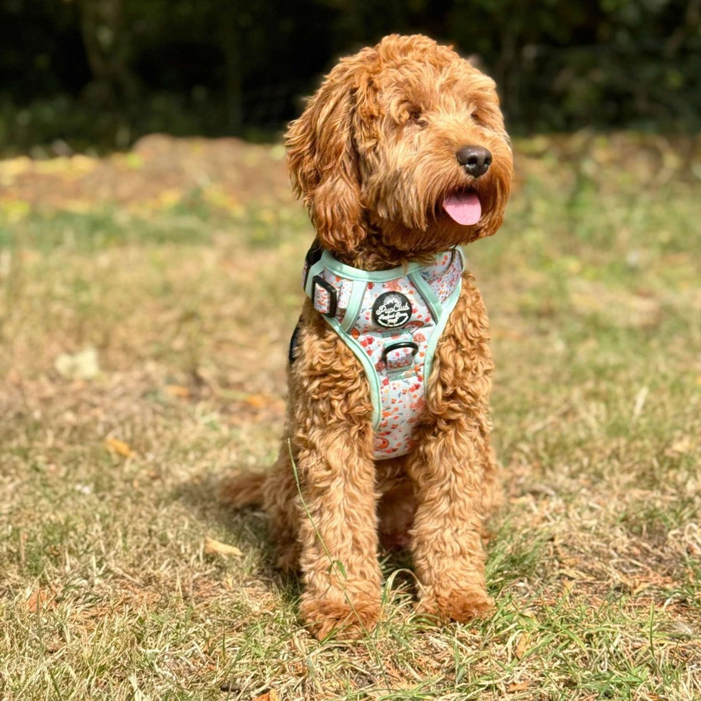 Rugged Rover™ Harness - Woodland Friends