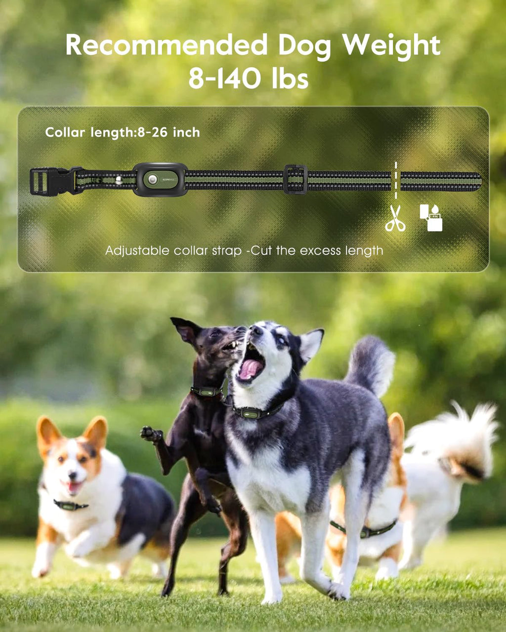 SLOPEHILL Dog Training Collar 2-Pack — 4200ft Remote, IP68 Waterproof, Beep, Vibration, Light, No Shock