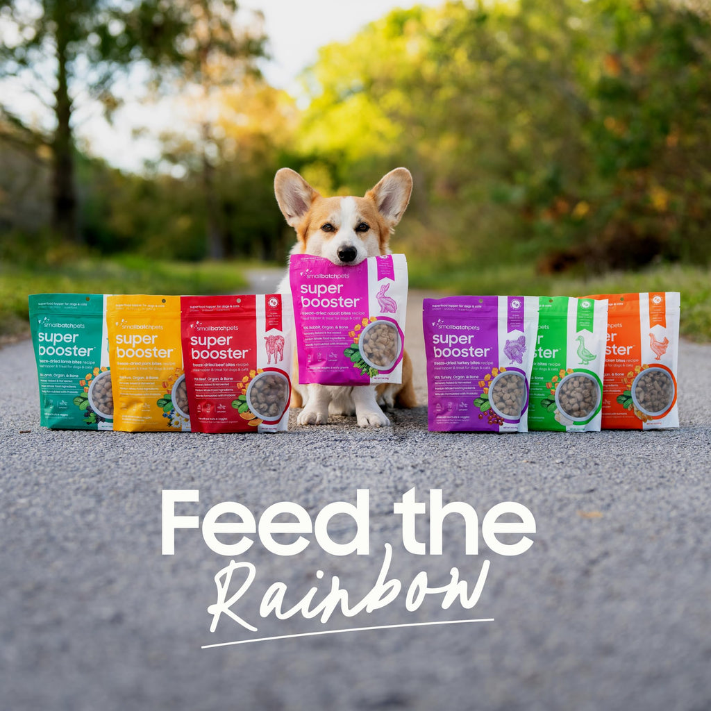 smallbatch Freeze Dried Dog Treats – Probiotic Superfood Topper, Grain-Free Beef Bites, Made in USA (18 oz)